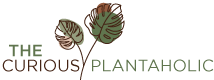 The Curious Plantaholic-Rare and Unique Houseplants, Hoyas, Succulents, Cacti, and Carnivorous Plants in Nazareth, Pennsylvania and Clinton, New Jersey