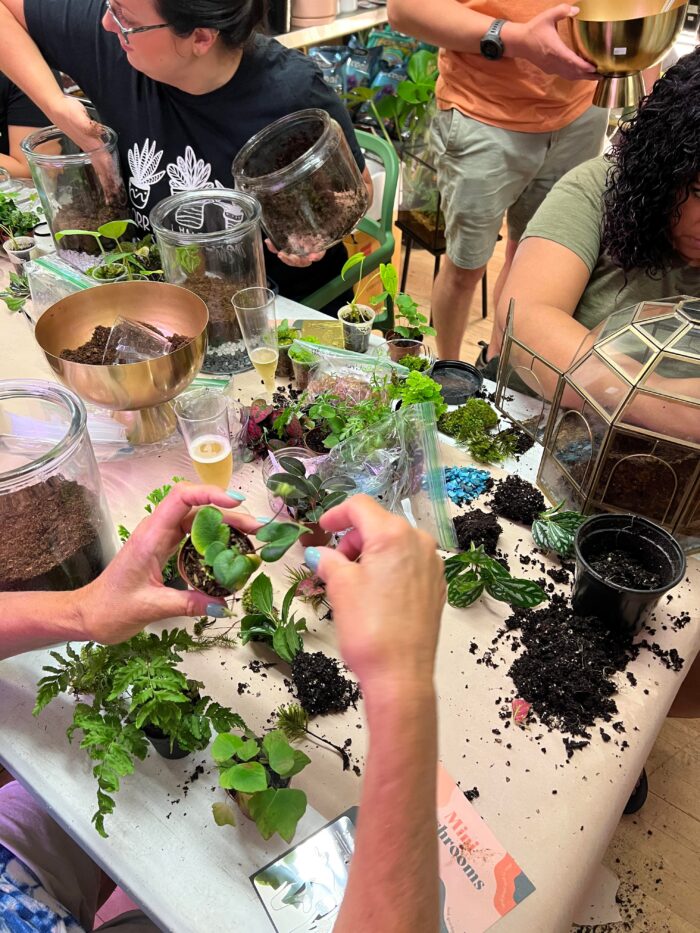 Build your own Terrarium - August 5th