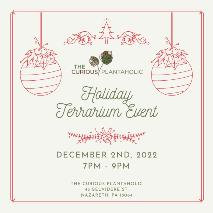 Build your own Holiday Terrarium - December 2nd in Clinton, NJ