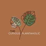The Curious Plantaholic